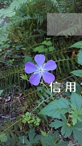 信用贷逾期了两个月会怎么样 信用贷逾期了两个月会怎么样