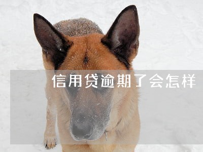 信用贷逾期了会怎样