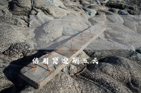 信用贷逾期五天 信用贷逾期五天