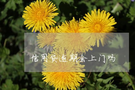 信用贷逾期会上门吗 信用贷逾期会上门吗