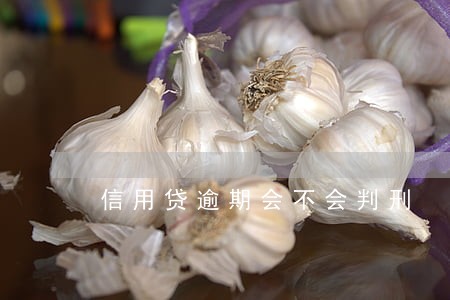 信用贷逾期会不会判刑 信用贷逾期会不会判刑