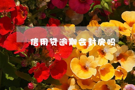 信用贷逾期会封房吗 信用贷逾期会封房吗