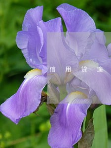 信用贷逾期会怎么处理