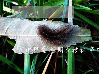 信用贷逾期会被拖车吗 信用贷逾期会被拖车吗