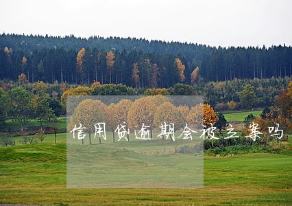信用贷逾期会被立案吗 信用贷逾期会被立案吗