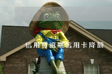 信用贷逾期信用卡降额 信用贷逾期信用卡降额