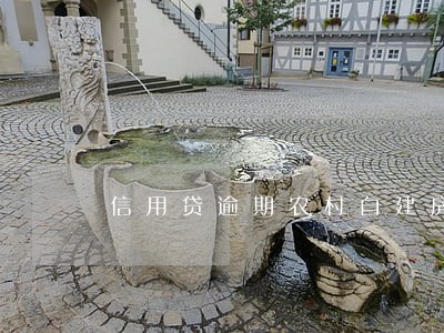 信用贷逾期农村自建房可以拍卖