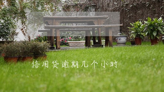 信用贷逾期几个小时 信用贷逾期几个小时