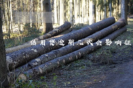 信用贷逾期几次会影响征信 信用贷逾期几次会影响征信