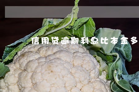 信用贷逾期利息比本金多 信用贷逾期利息比本金多