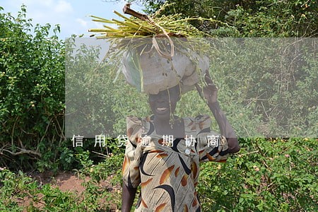 信用贷逾期协商 信用贷逾期协商