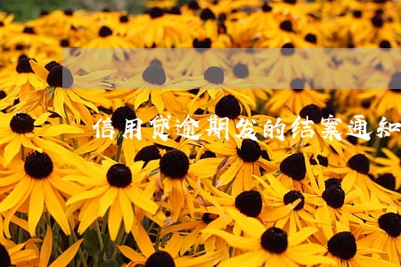 信用贷逾期发的结案通知短信 信用贷逾期发的结案通知短信