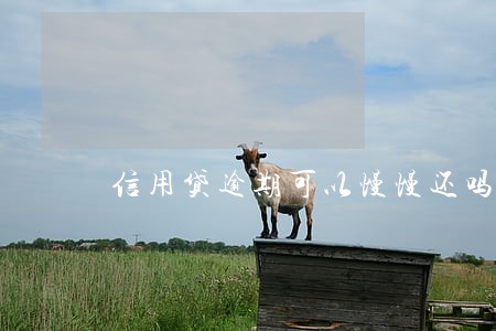 信用贷逾期可以慢慢还吗 信用贷逾期可以慢慢还吗