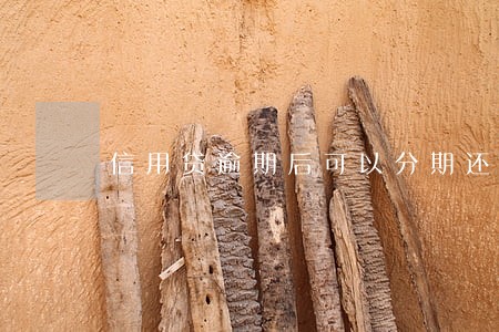 信用贷逾期后可以分期还 信用贷逾期后可以分期还