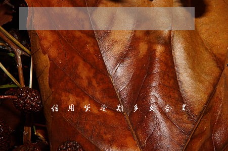 信用贷逾期多久会黑 信用贷逾期多久会黑