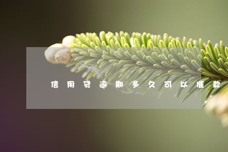 信用贷逾期多久可以催款 信用贷逾期多久可以催款