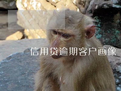 信用贷逾期客户画像