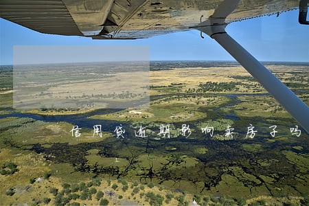 信用贷逾期影响卖房子吗