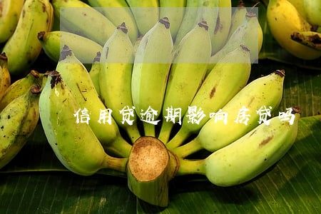 信用贷逾期影响房贷吗