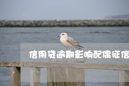 信用贷逾期影响配偶征信吗 信用贷逾期影响配偶征信吗