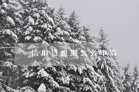 信用贷逾期怎么申诉 信用贷逾期怎么申诉