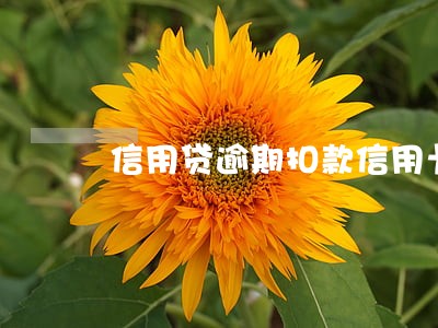 信用贷逾期扣款信用卡么 信用贷逾期扣款信用卡么