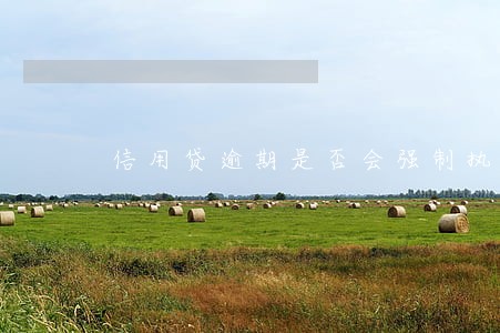 信用贷逾期是否会强制执行