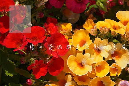 信用贷逾期是否影响亲属社保