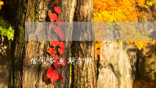 信用贷逾期条款 信用贷逾期条款