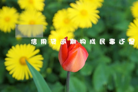 信用贷逾期构成民事还是刑事 信用贷逾期构成民事还是刑事