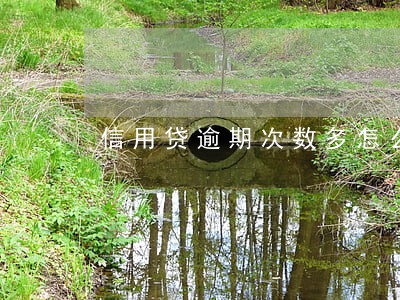 信用贷逾期次数多怎么办 信用贷逾期次数多怎么办