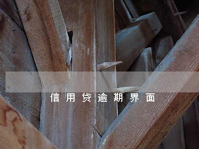 信用贷逾期界面 信用贷逾期界面
