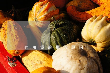 信用贷逾期的原因 信用贷逾期的原因
