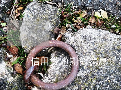 信用贷逾期的罚息 信用贷逾期的罚息