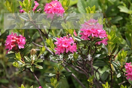 信用贷逾期立案 信用贷逾期立案