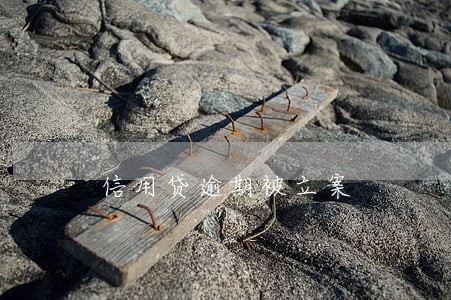 信用贷逾期被立案 信用贷逾期被立案