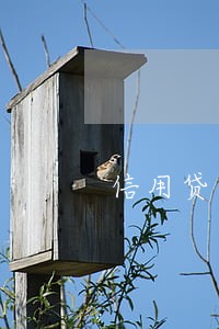 信用贷逾期被立案了怎么办 信用贷逾期被立案了怎么办
