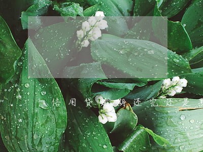 信用贷逾期还完还是黑户吗 信用贷逾期还完还是黑户吗