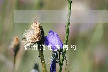 信用贷逾期违约 信用贷逾期违约