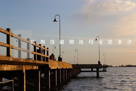 信用贷逾期违约金是多少 信用贷逾期违约金是多少