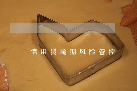 信用贷逾期风险管控 信用贷逾期风险管控