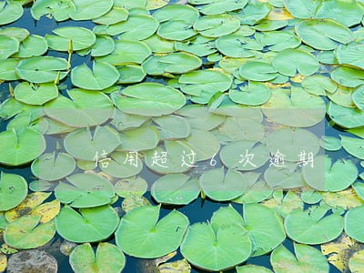 信用超过6次逾期 信用超过6次逾期