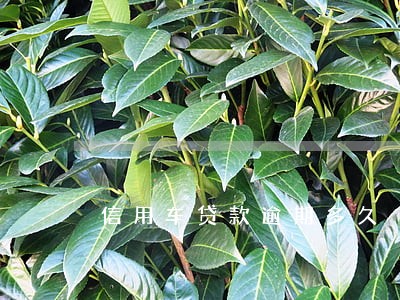 信用车贷款逾期多久 信用车贷款逾期多久