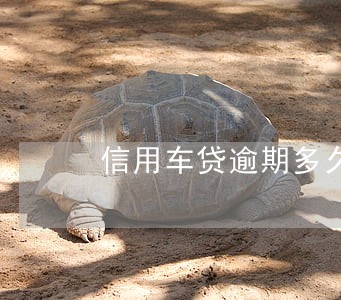 信用车贷逾期多久会收车 信用车贷逾期多久会收车