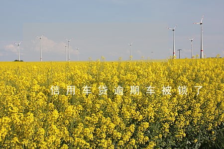 信用车贷逾期车被锁了 信用车贷逾期车被锁了