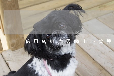 信用转机当天晚上还款算逾期吗 信用转机当天晚上还款算逾期吗