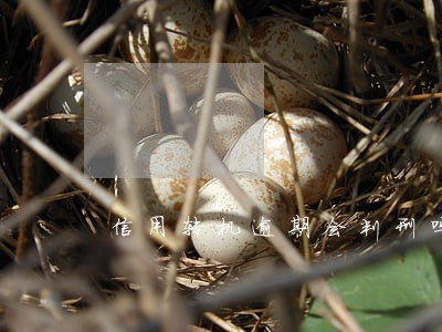 信用转机逾期会判刑吗