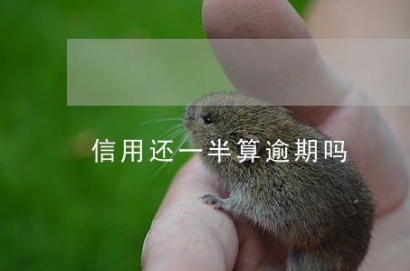 信用还一半算逾期吗 信用还一半算逾期吗