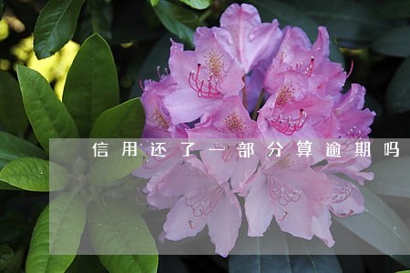 信用还了一部分算逾期吗 信用还了一部分算逾期吗
