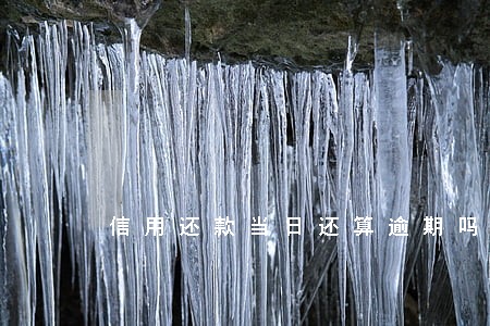 信用还款当日还算逾期吗 信用还款当日还算逾期吗